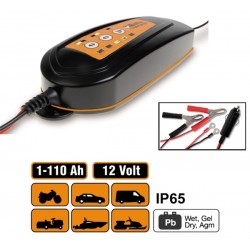 CARICA BATTERIE 80 AH AUTO /80