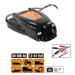 CARICA BATTERIE 300 AH 12/24V