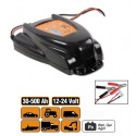 CARICA BATTERIE 300 AH 12/24V