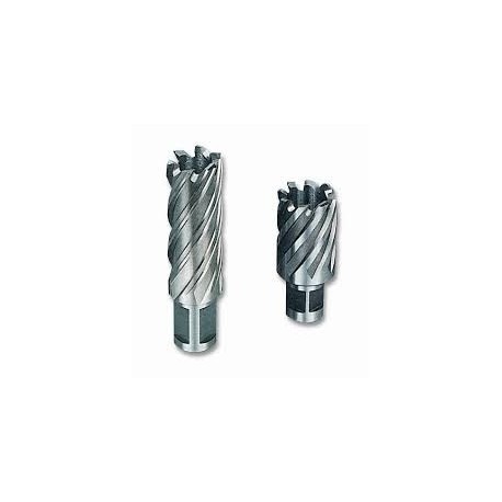 FRESA A CORONA WELDON 12X30