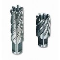 FRESA A CORONA WELDON 12X30