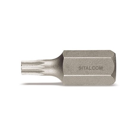 INSERTO  5 XZN CORTO