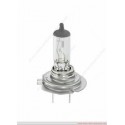 H7 24V 70W LAMPADA