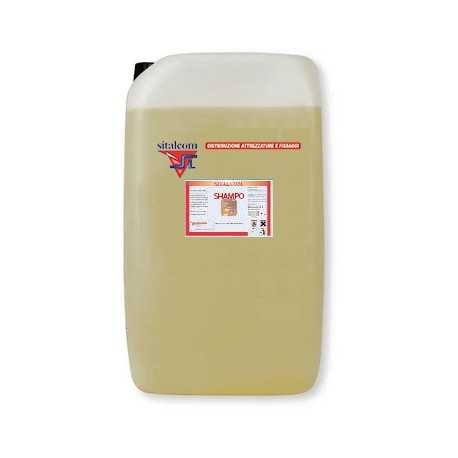 SHAMPOO AUTO 10 kg