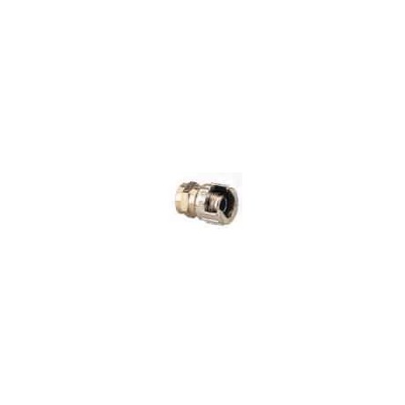 FEMMINA C/DADO CAP.1/4 14021