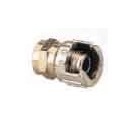 FEMMINA C/DADO CAP.1/4 14021