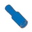 TERM.11.63 PRESA CIL.BLU