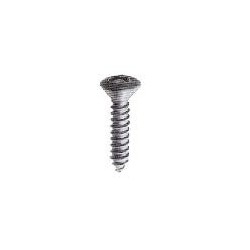 7983 ZI DIN VITE TGS 4.2X19
